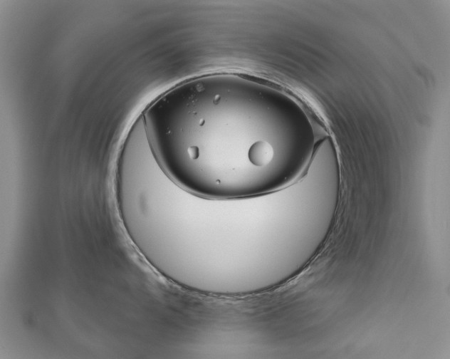 X0000113001104200909031248