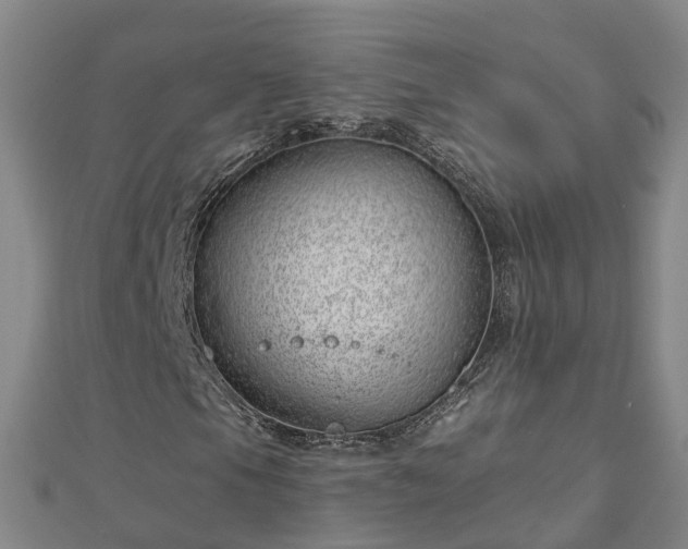 X0000113001105200909031247