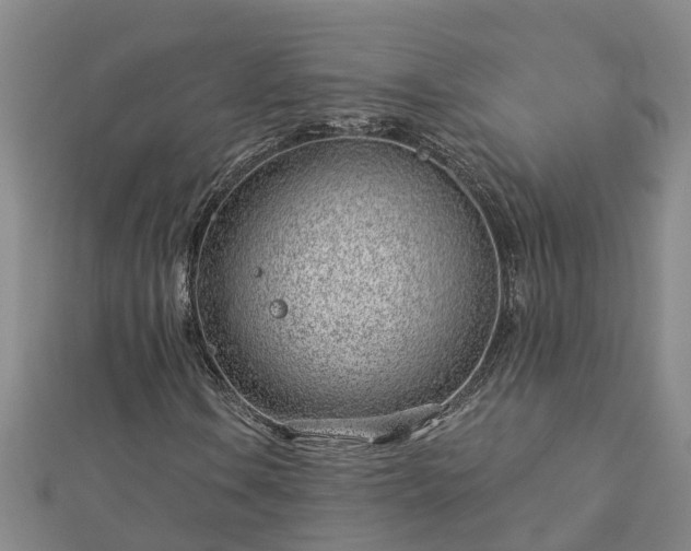 X0000113001106200909031247