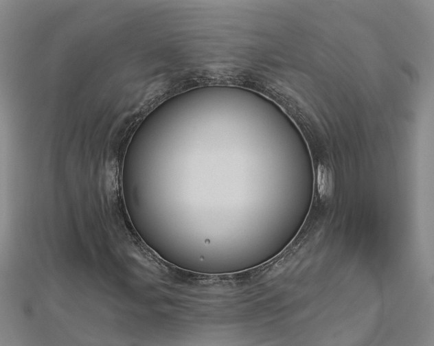 X0000113001107200909031247