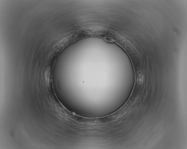 X0000113001108200909031247