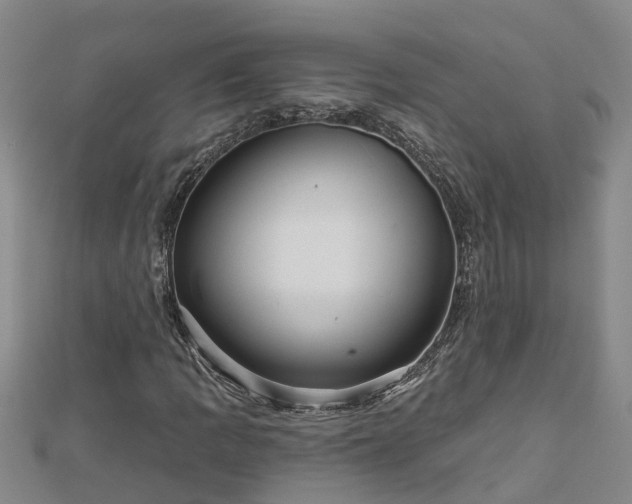 X0000113001109200909031247