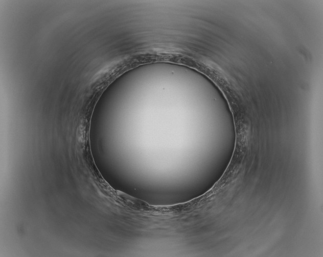 X0000113001110200909031247