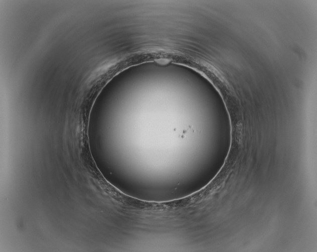 X0000113001111200909031247