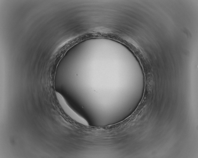 X0000113001112200909031247