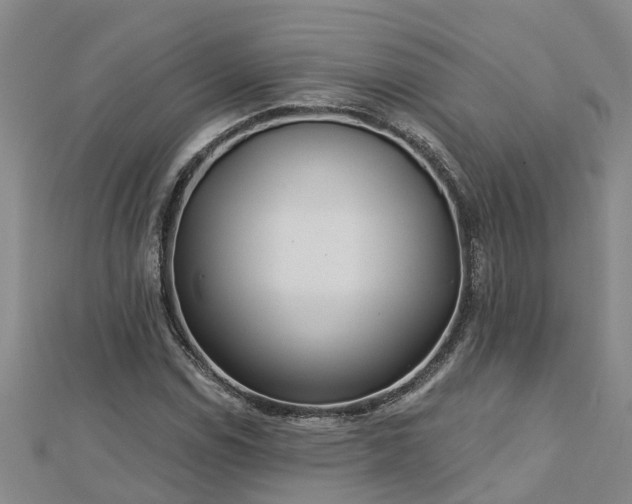 X0000113001114200909031247