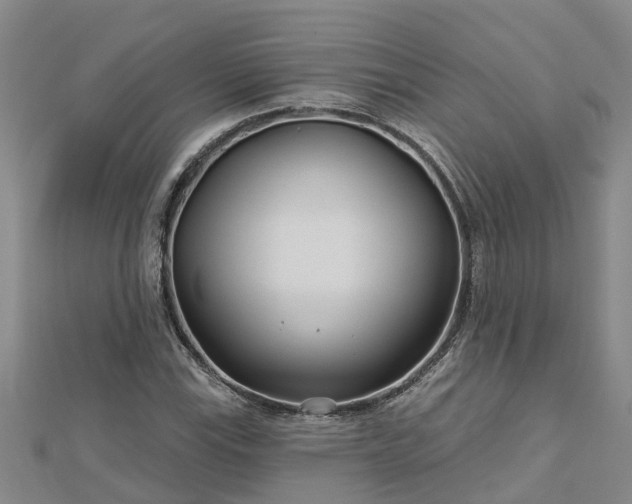 X0000113001115200909031247