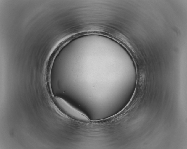 X0000113001116200909031247