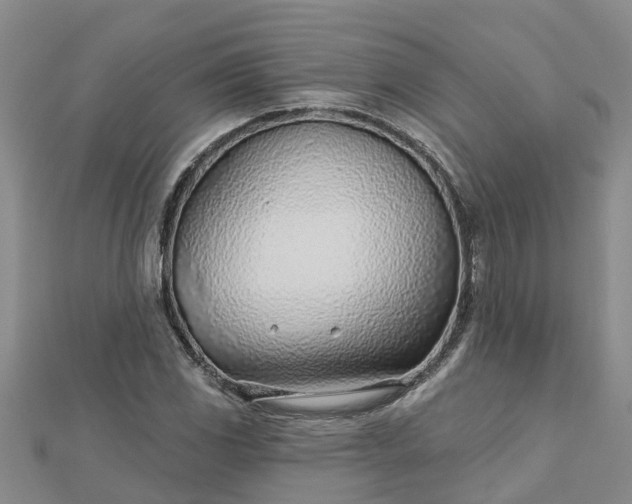 X0000113001117200909031247