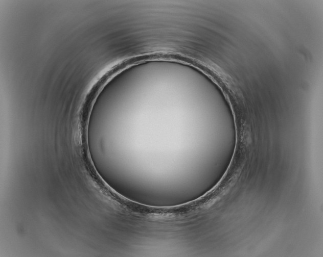 X0000113001118200909031247