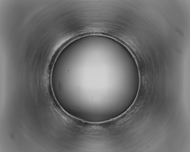 X0000113001119200909031247