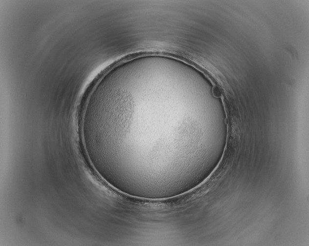 X0000113001120200909031247