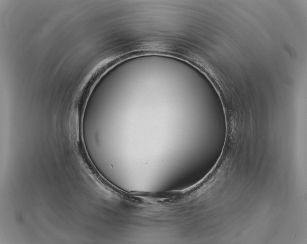 X0000113001123200909031247