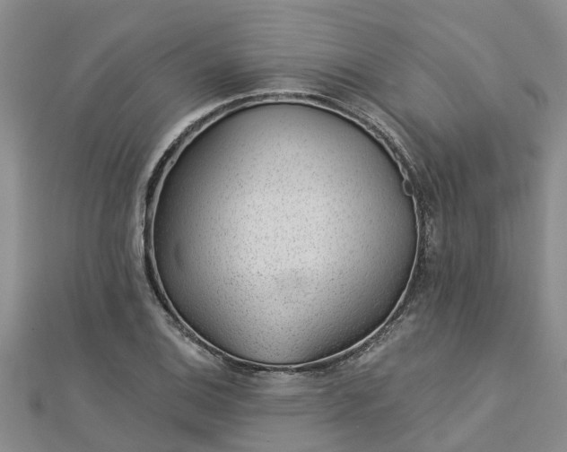 X0000113001124200909031247