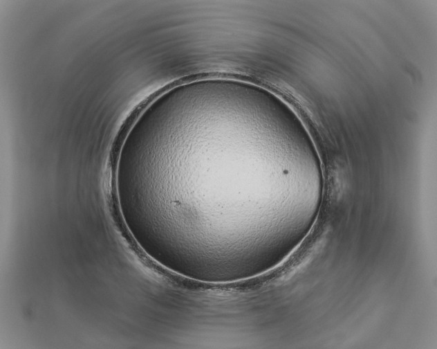 X0000113001125200909031247