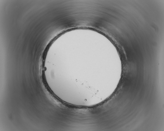 X0000113001126200909031247