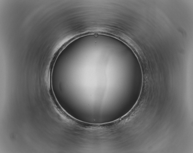 X0000113001127200909031247