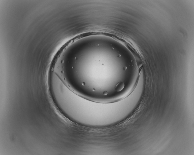 X0000113001128200909031247