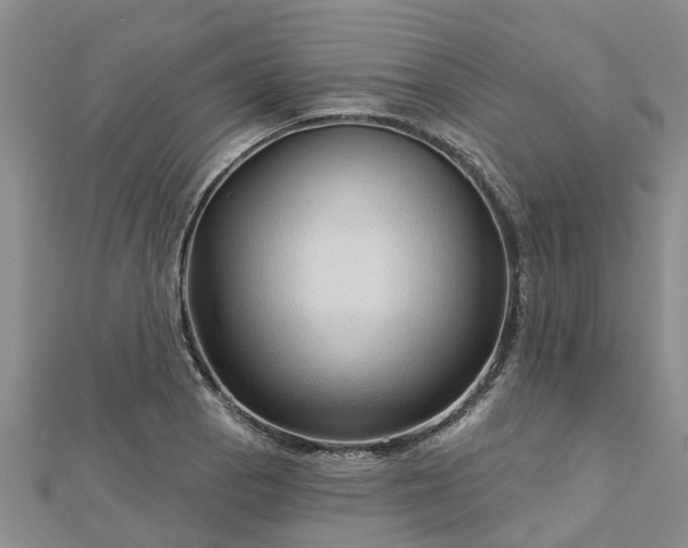 X0000113001129200909031247