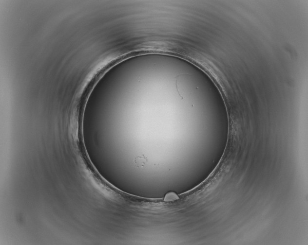 X0000113001131200909031248