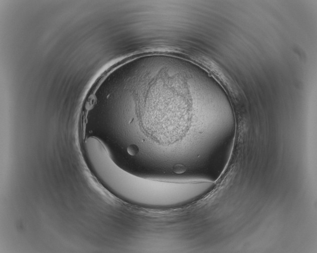 X0000113001132200909031248