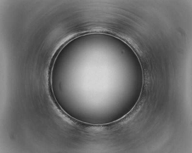 X0000113001134200909031248