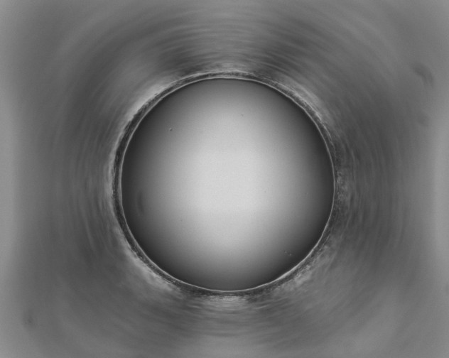 X0000113001135200909031248