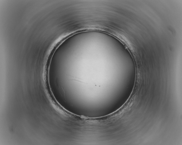 X0000113001136200909031248