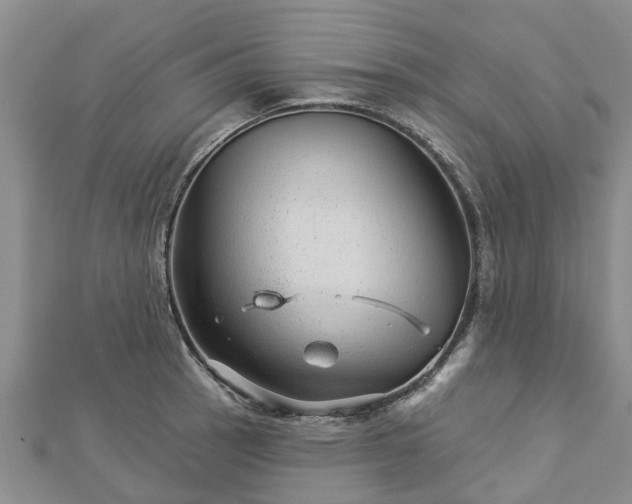 X0000113001137200909031248