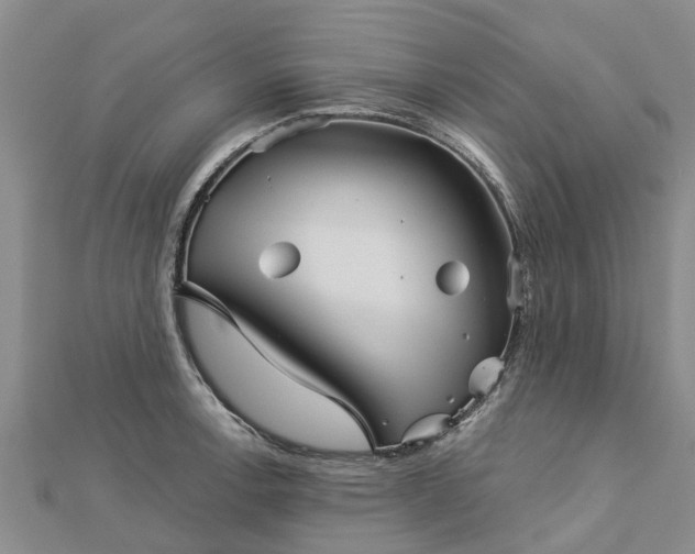 X0000113001138200909031248