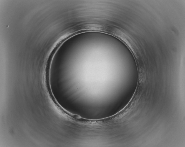 X0000113001139200909031248