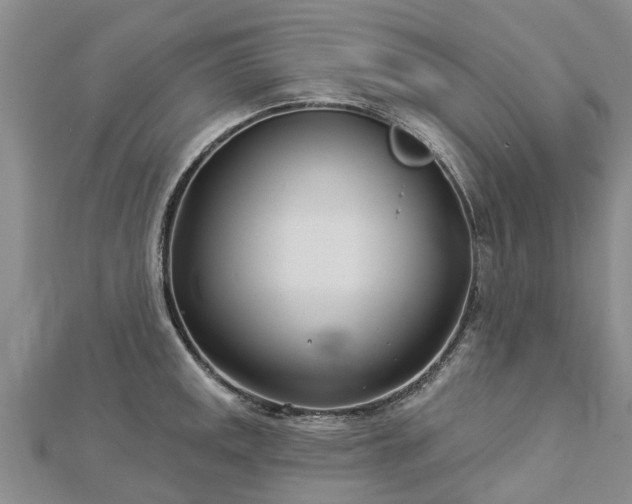 X0000113001141200909031248