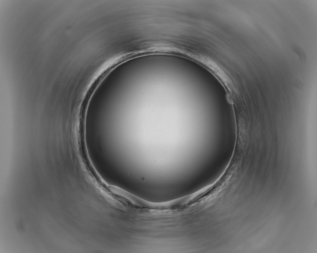 X0000113001142200909031248