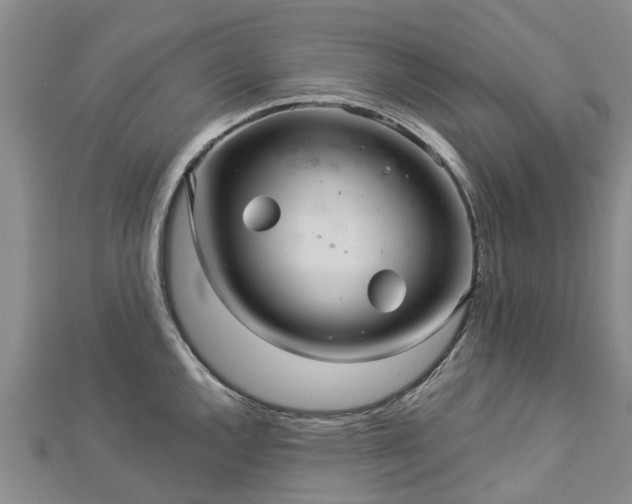 X0000113001144200909031248