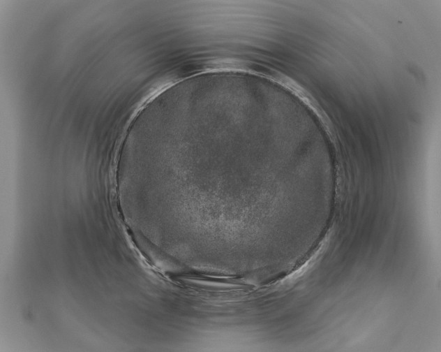 X0000113001145200909031248