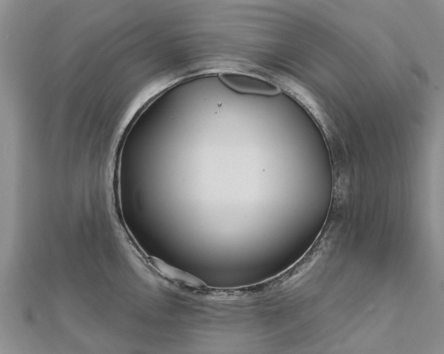 X0000113001146200909031248