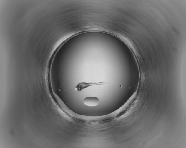 X0000113001149200909031248