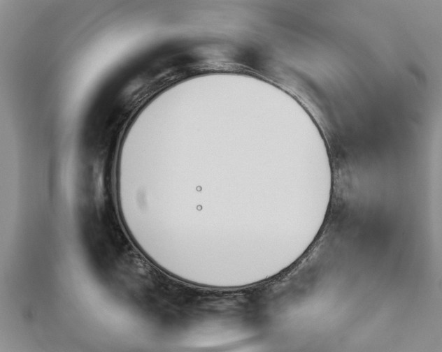 X0000113001150200909031248