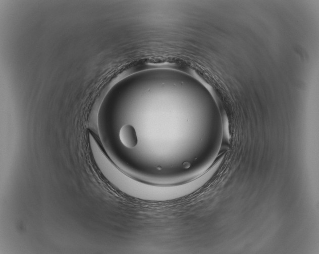 X0000113001153200909031247