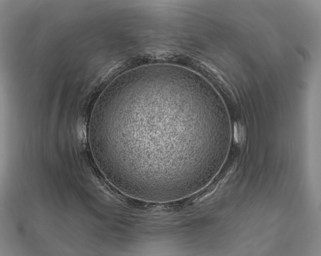 X0000113001155200909031247