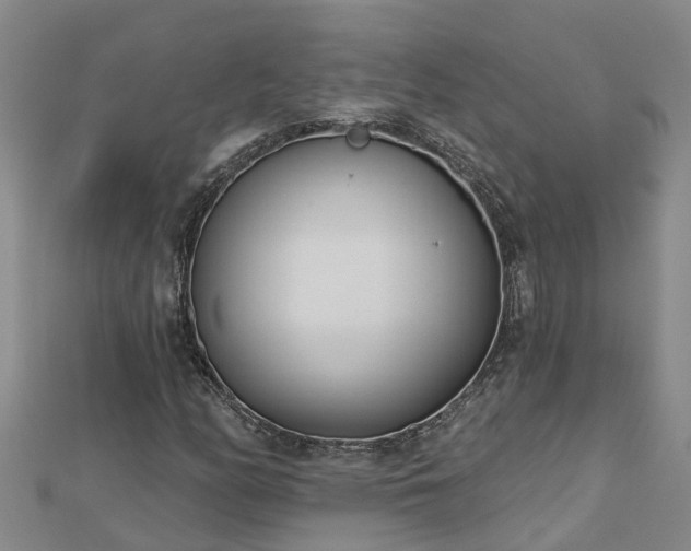 X0000113001158200909031247