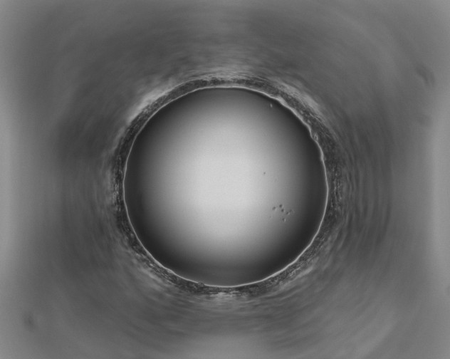 X0000113001160200909031247