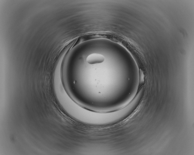 X0000113001161200909031247