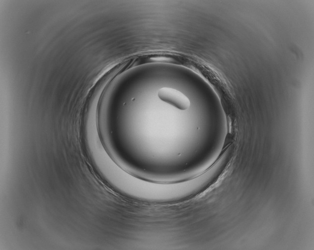 X0000113001162200909031247