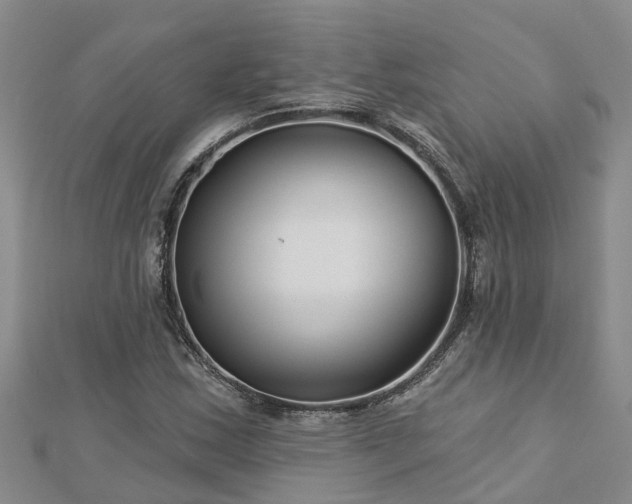 X0000113001163200909031247