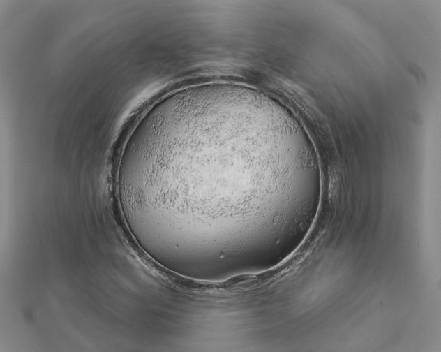 X0000113001164200909031247