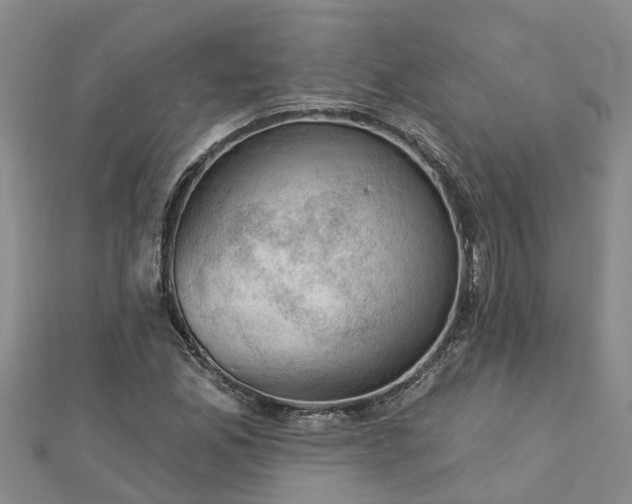 X0000113001165200909031247