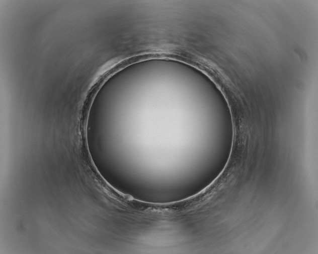 X0000113001168200909031247