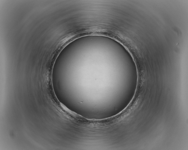 X0000113001169200909031247