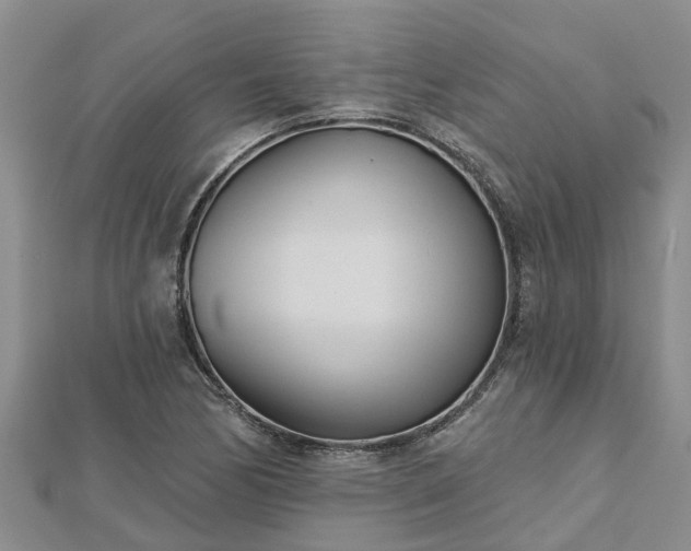 X0000113001170200909031247